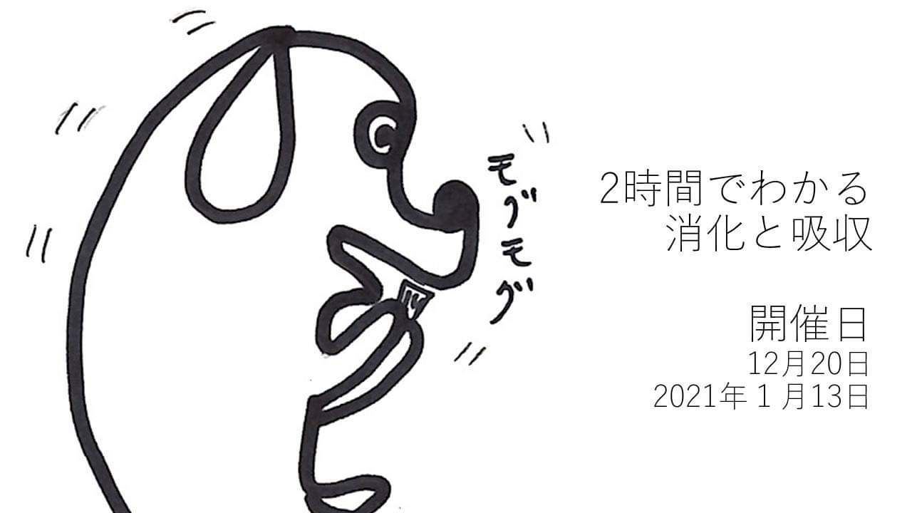 Read more about the article ２時間で分かる「消化と吸収」オンライン講座