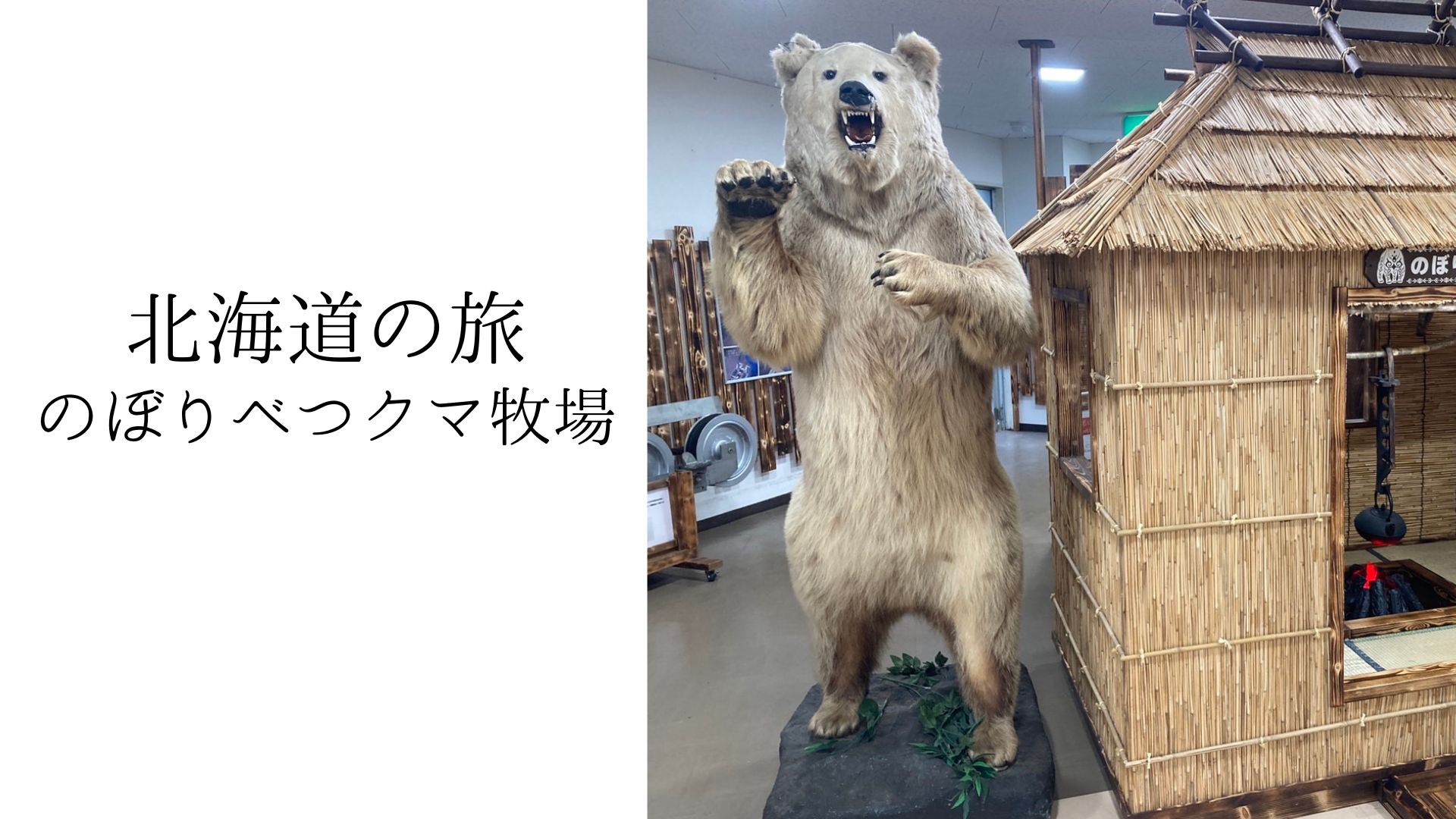 Read more about the article 北海道のたび～登別でクマと温泉を楽しむ～